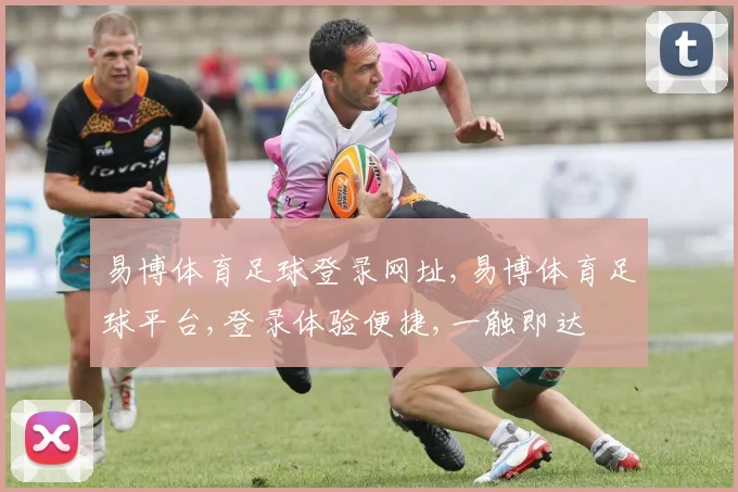 易博体育足球登录网址,易博体育足球平台,登录体验便捷,一触即达