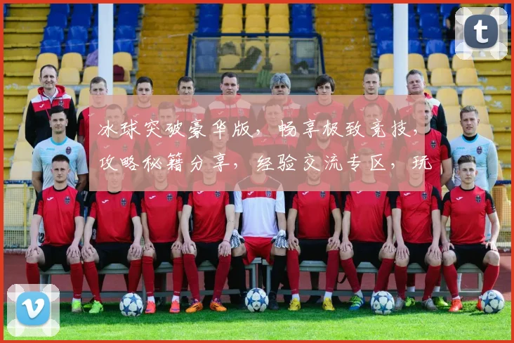 冰球突破豪华版，畅享极致竞技，攻略秘籍分享，经验交流专区，玩家必备